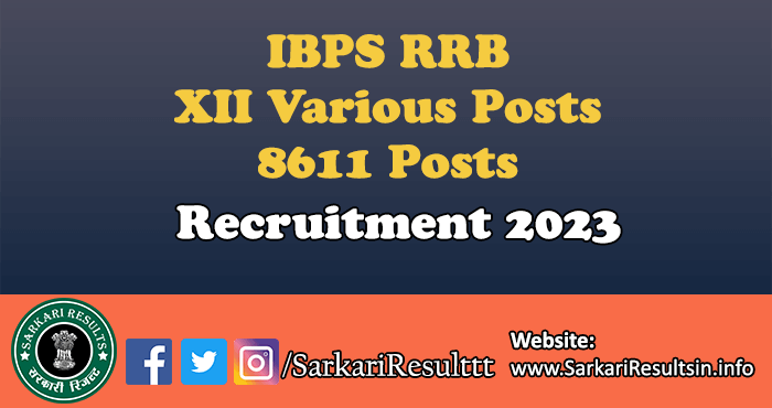 IBPS RRB XII Various Posts Recruitment 2023