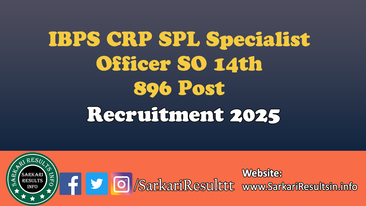 IBPS CRP SPL Specialist Officer SO Recruitment 2024